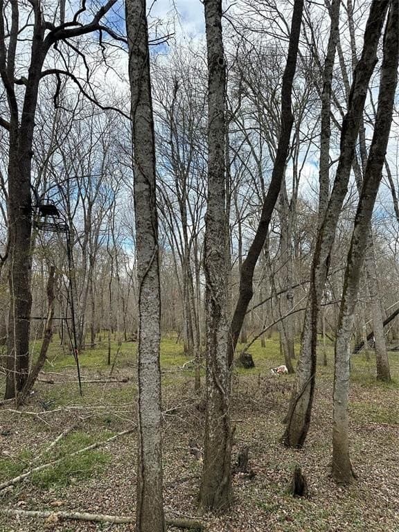 278 acres in Freestone County - photo 12