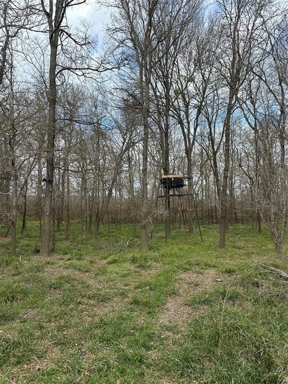 278 acres in Freestone County - photo 11