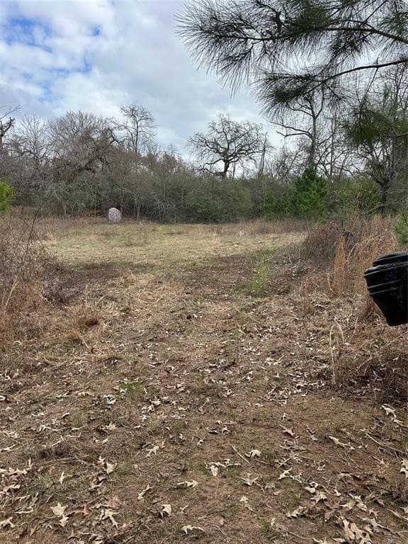 278 acres in Freestone County - photo 15