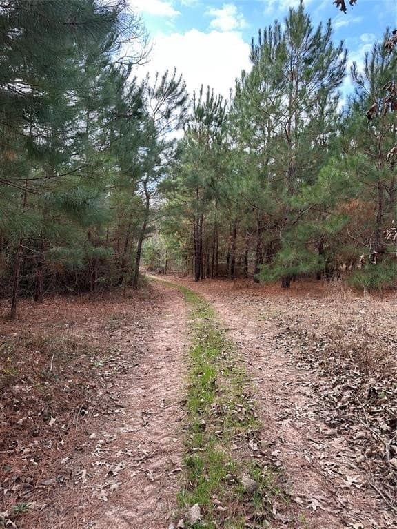 278 acres in Freestone County - photo 14