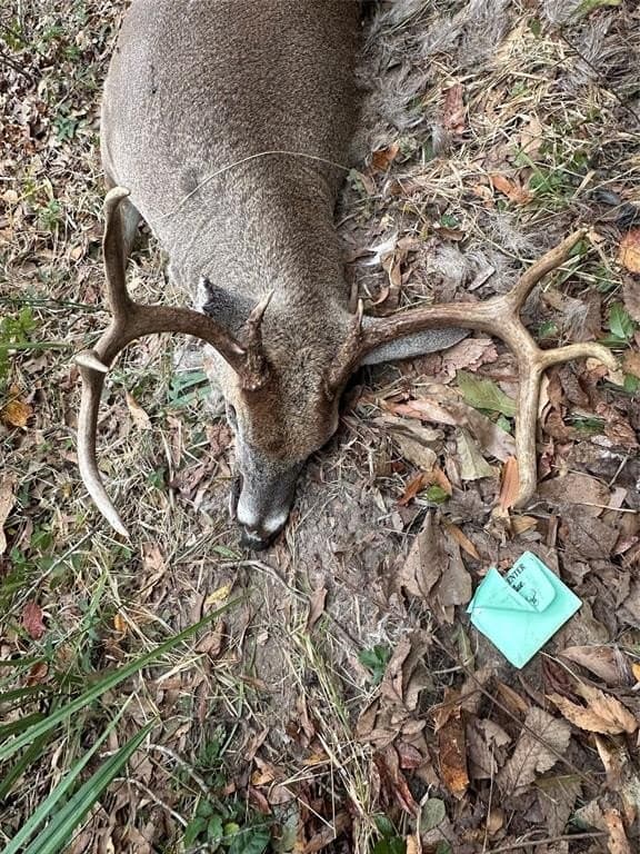 278 acres in Freestone County - photo 22