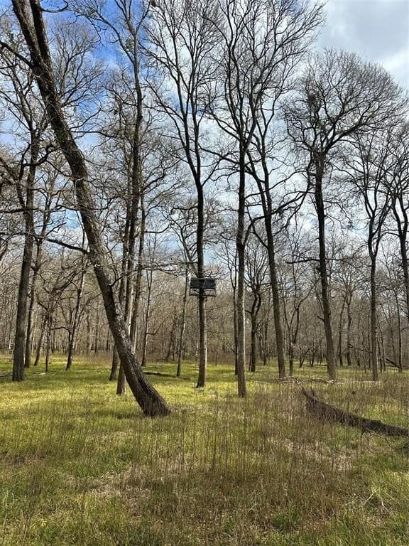 278 acres in Freestone County - photo 10