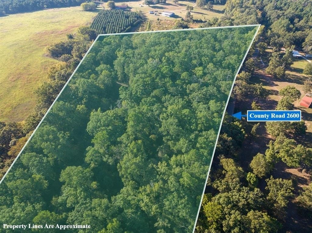 8.52 acres in Titus County - photo 2