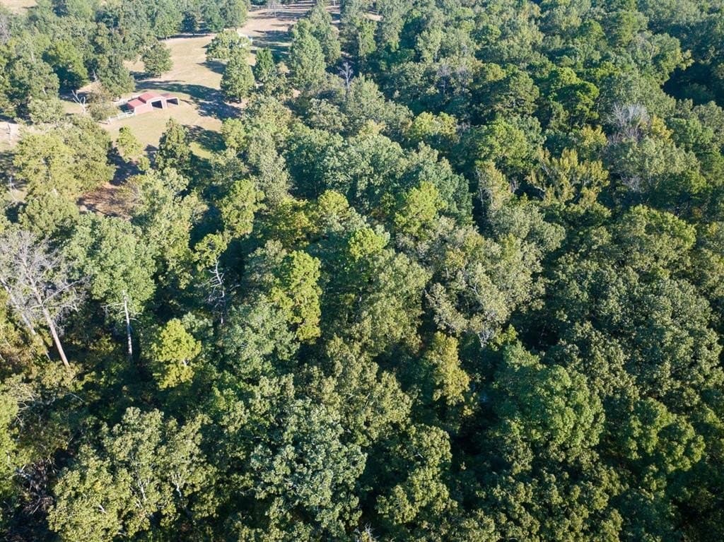8.52 acres in Titus County - photo 3