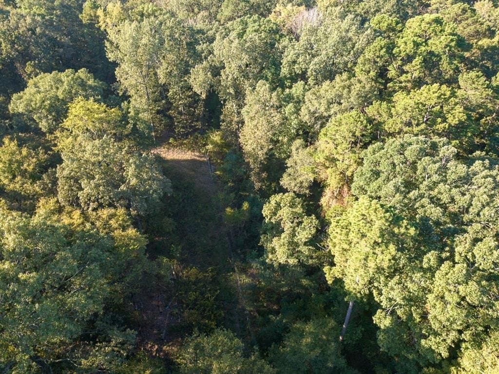 8.52 acres in Titus County - photo 5