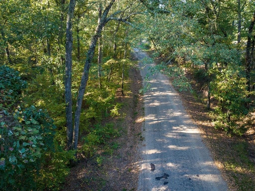 8.52 acres in Titus County - photo 4