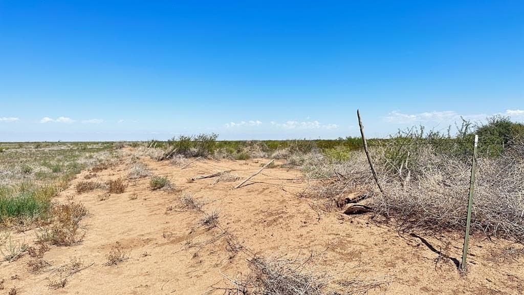 320 acres in Reeves County - photo 13