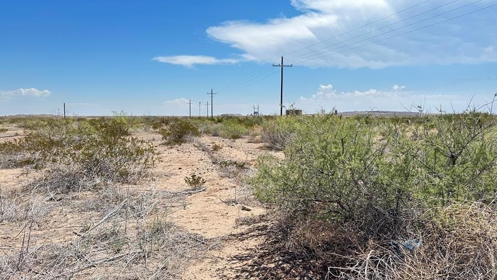 320 acres in Reeves County - photo 14