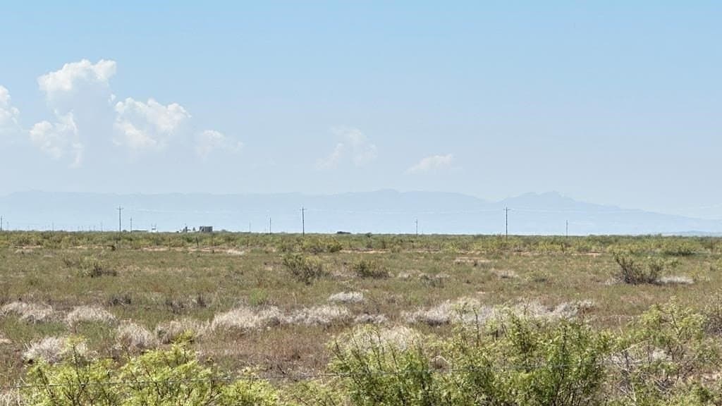 320 acres in Reeves County - photo 15