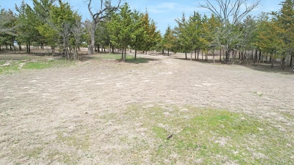 2 acres in Grayson County - photo 11