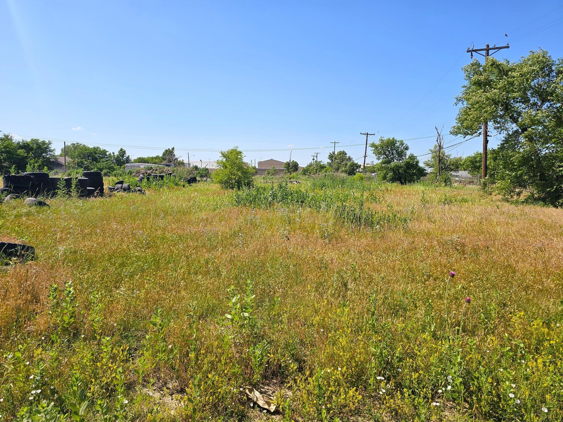 18 acres in Texas County - photo 2