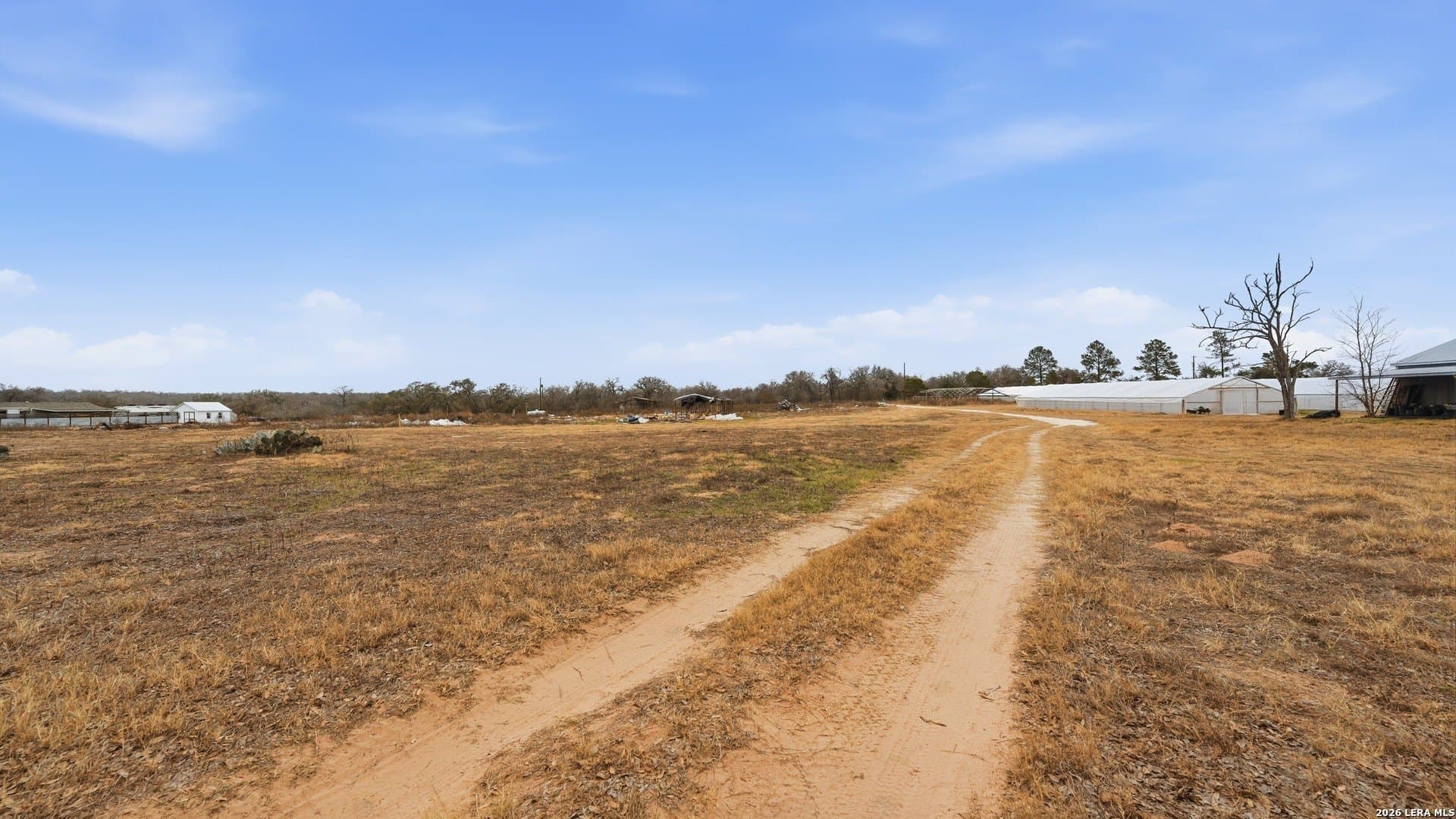 2 acres in Wilson County - photo 9
