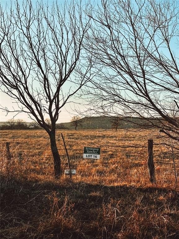 9.04 acres in Palo Pinto County - photo 7