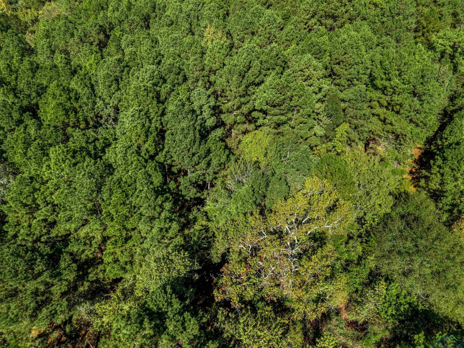 6.96 acres in Gregg County - photo 17
