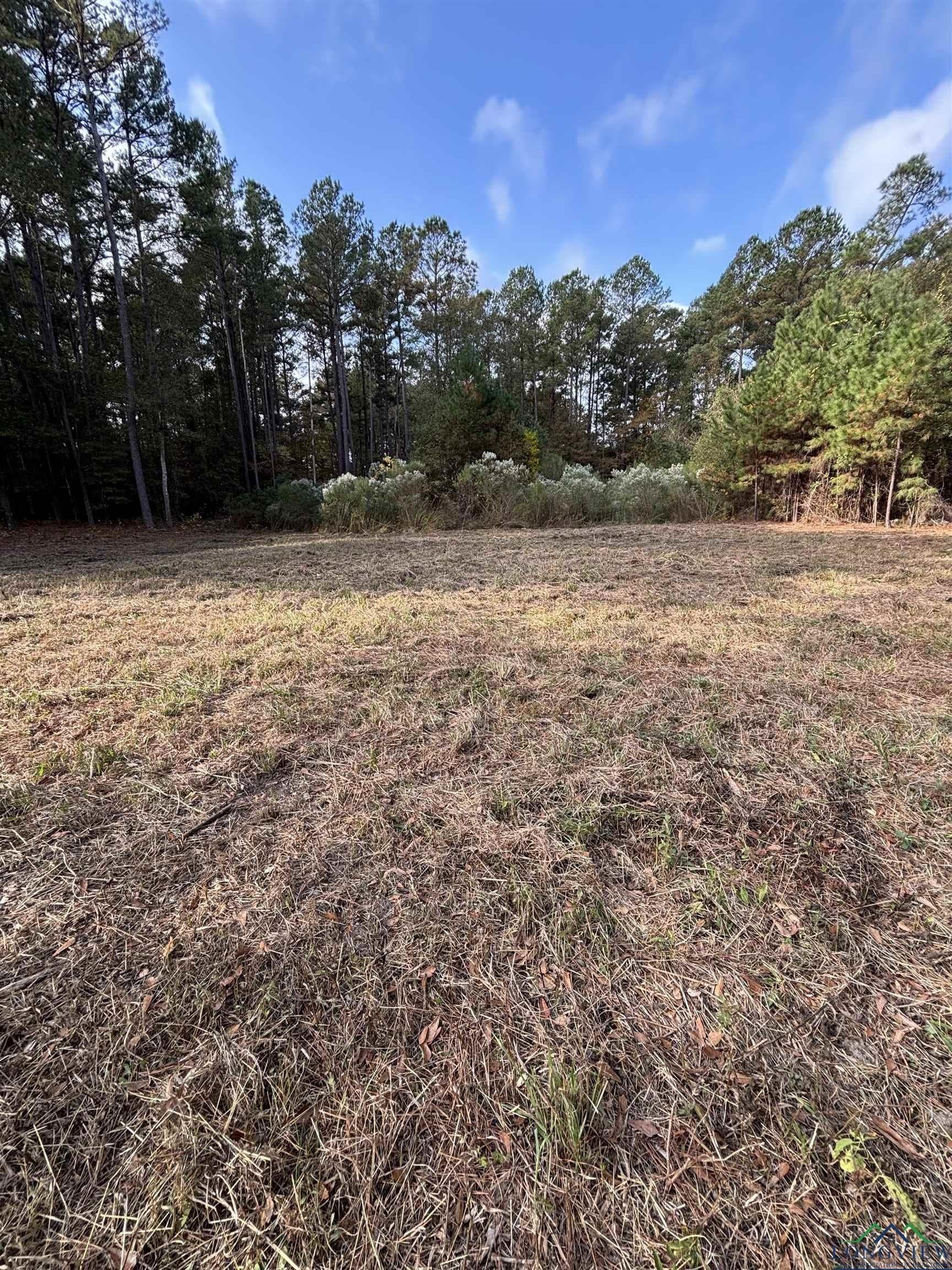 6.96 acres in Gregg County - photo 7