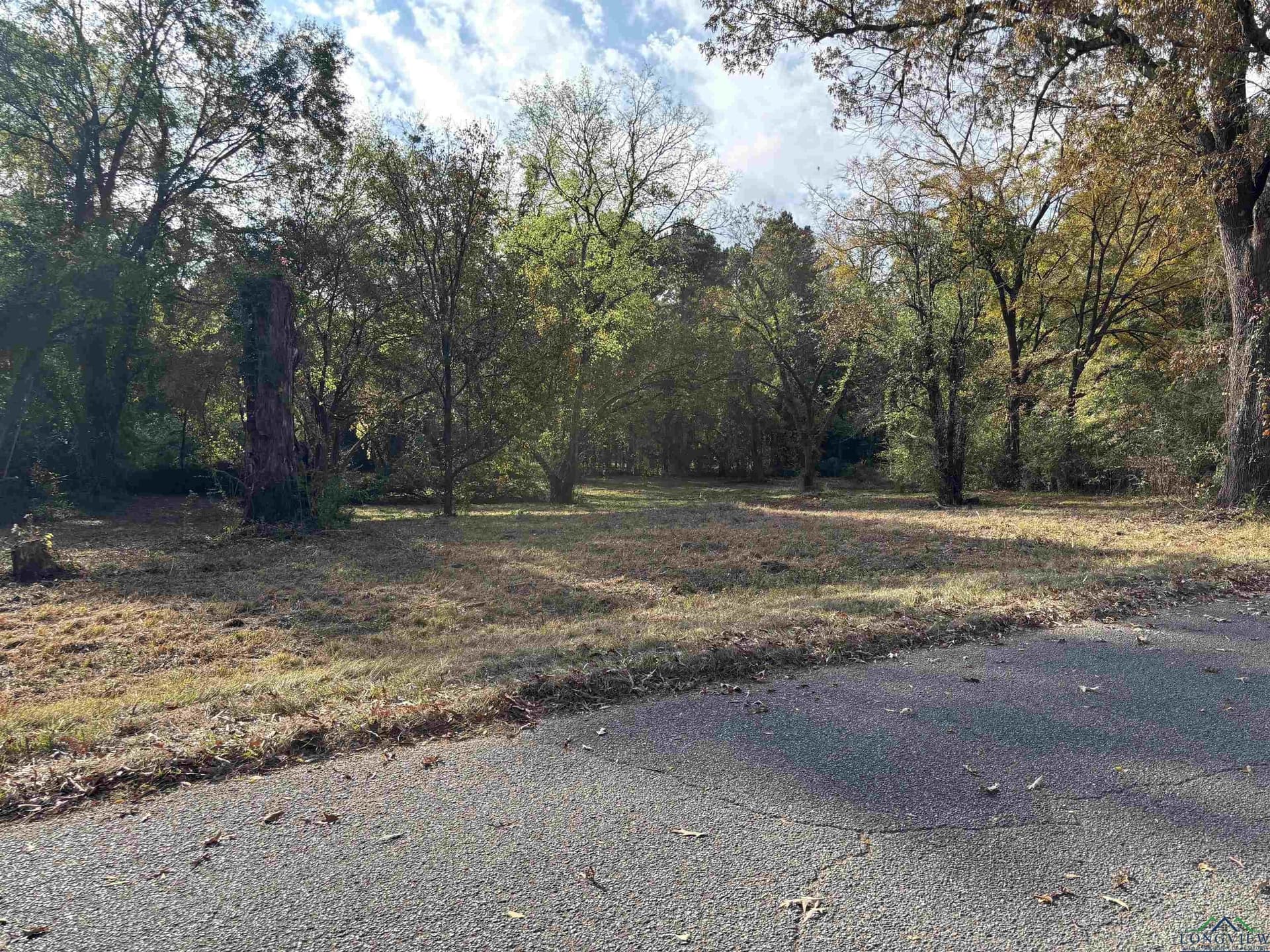 6.96 acres in Gregg County - photo 2