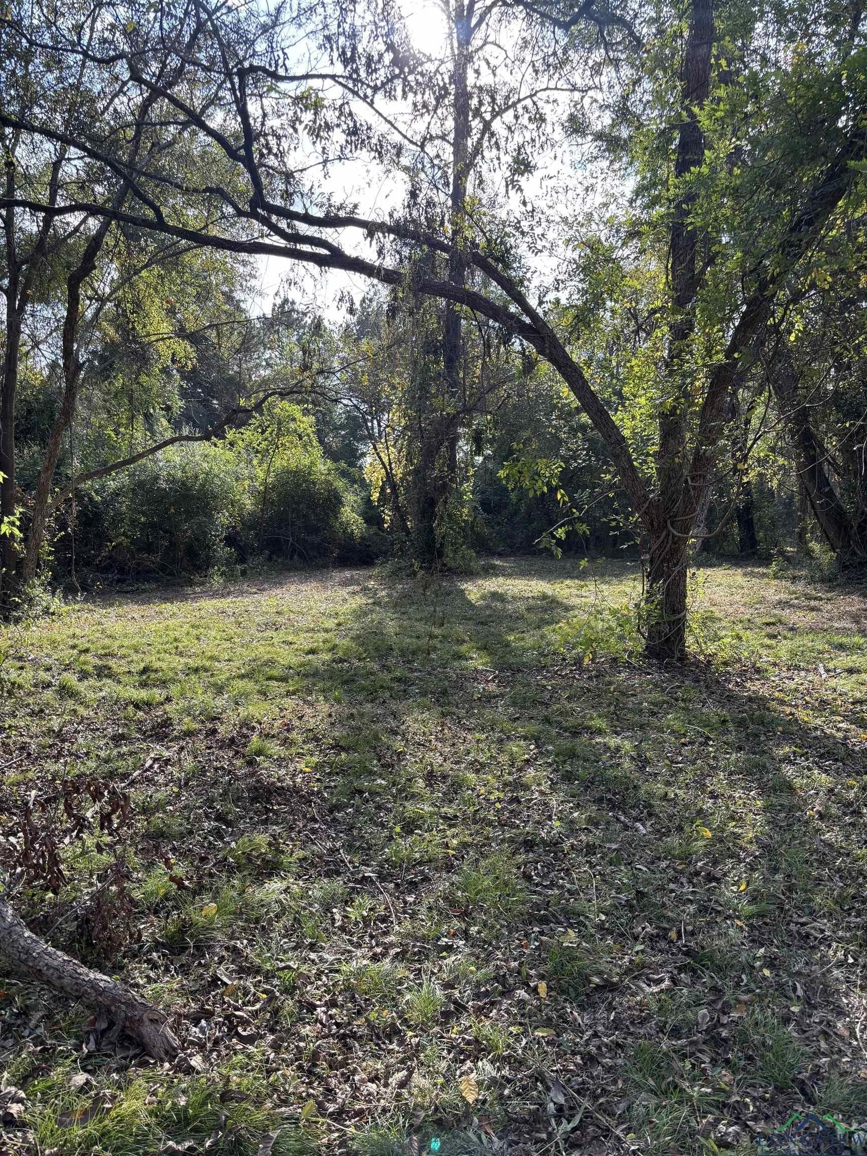 6.96 acres in Gregg County - photo 6