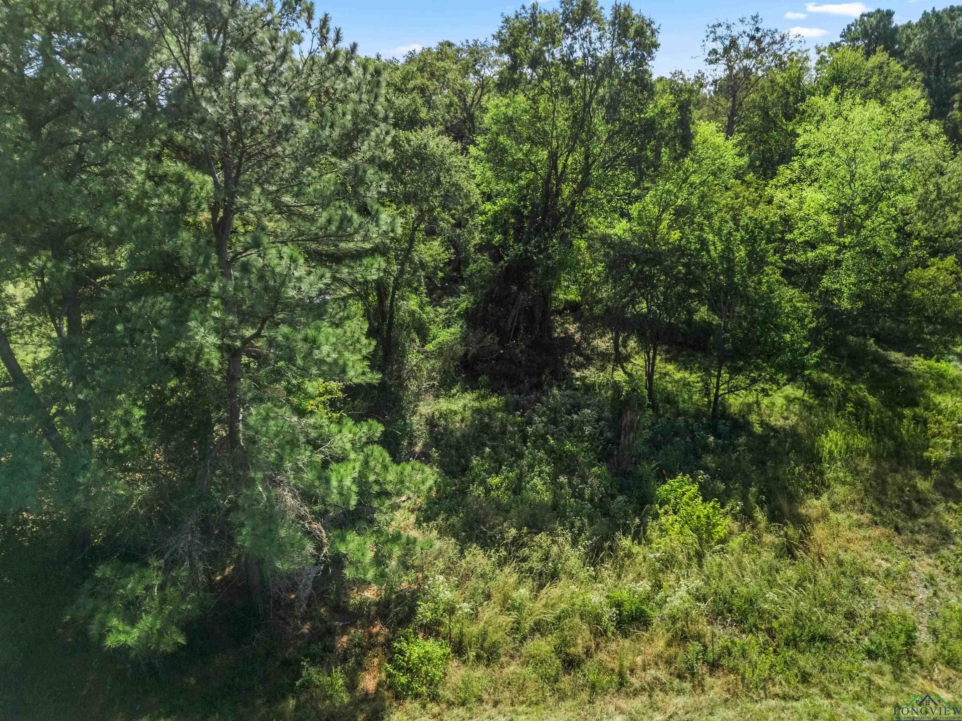 6.96 acres in Gregg County - photo 21