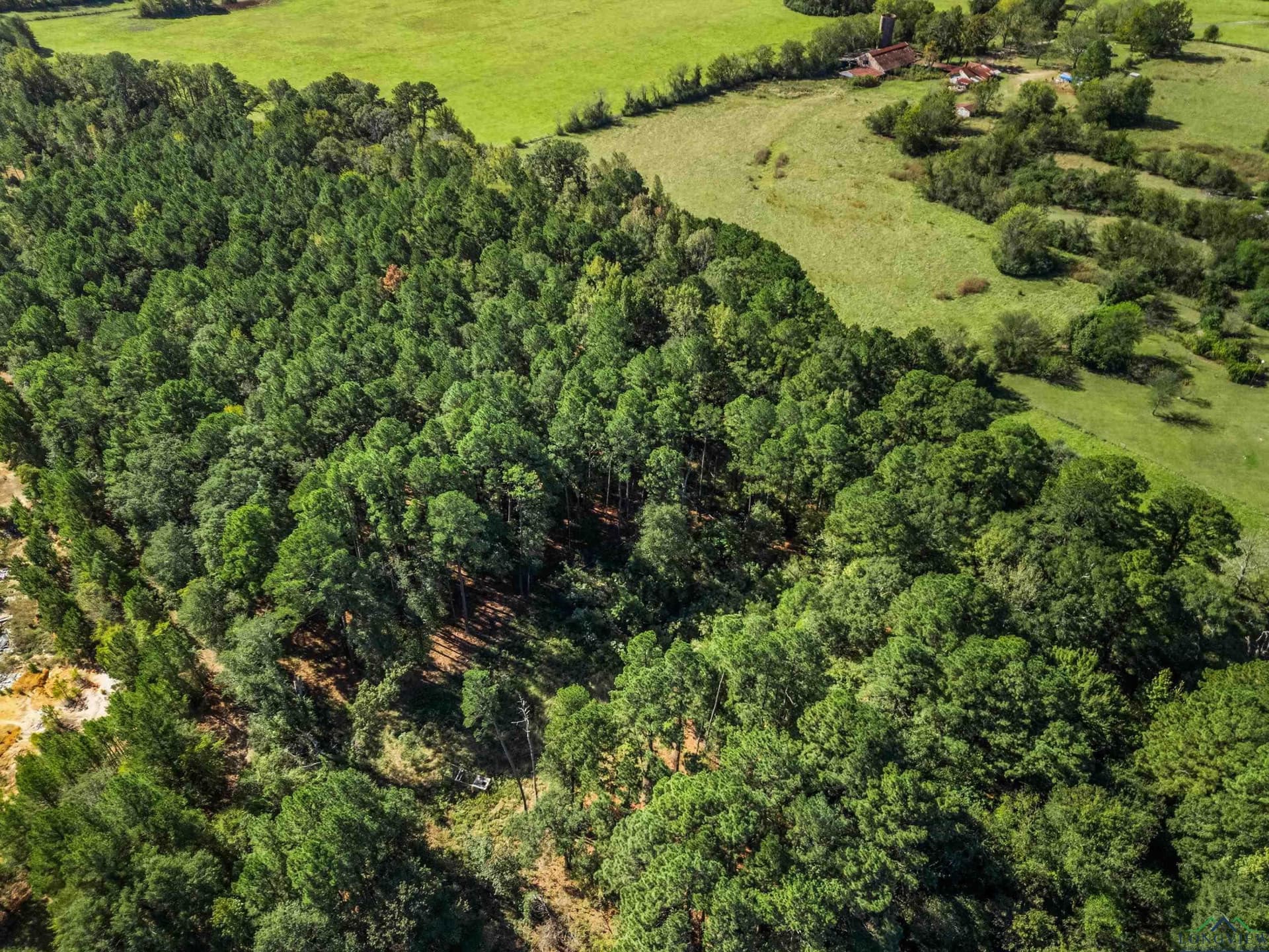 6.96 acres in Gregg County - photo 9