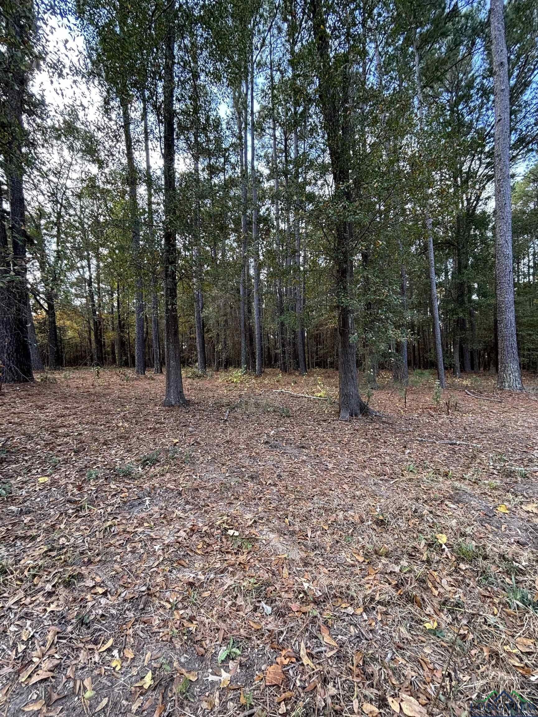 6.96 acres in Gregg County - photo 10