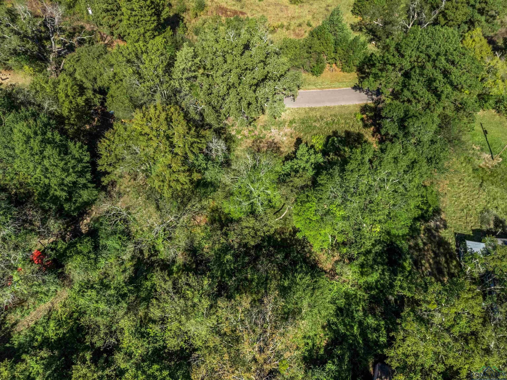 6.96 acres in Gregg County - photo 13