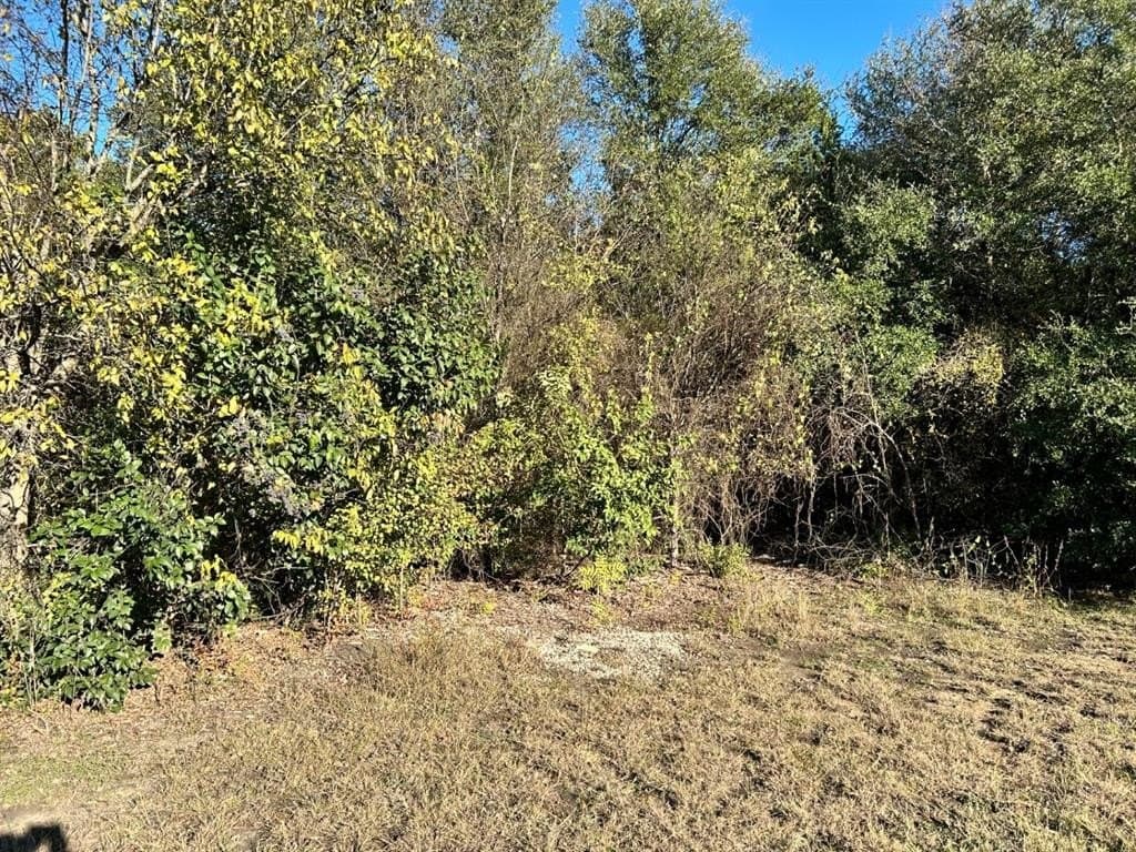 0.23 acres in Hill County - photo 23