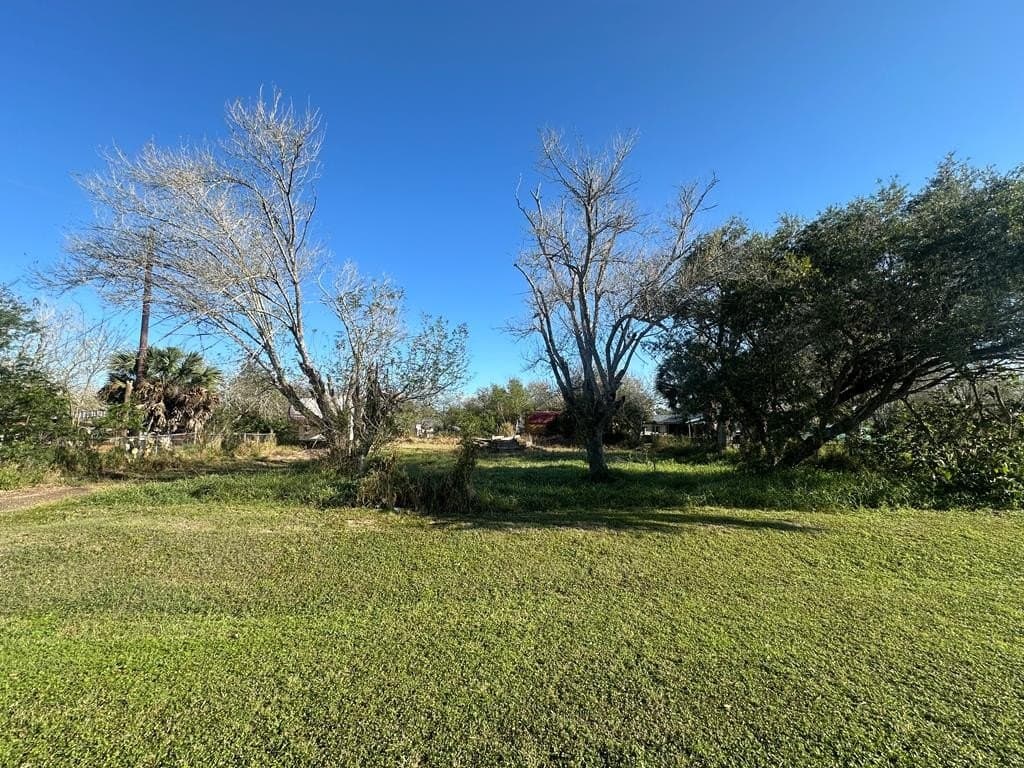 0 acres in Cameron County - photo 4