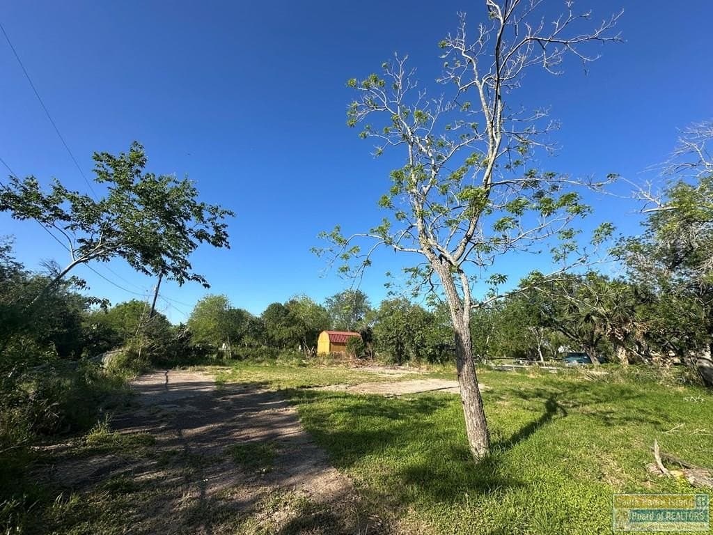 0 acres in Cameron County - photo 9