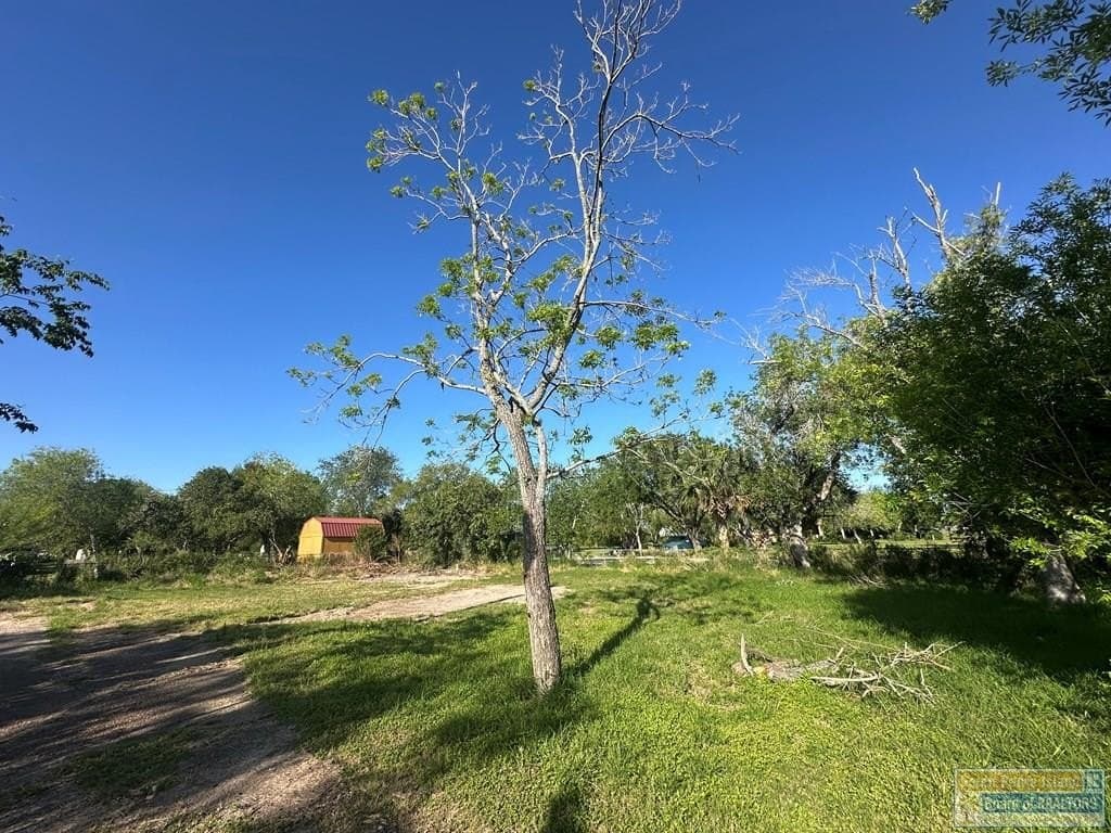 0 acres in Cameron County - photo 8