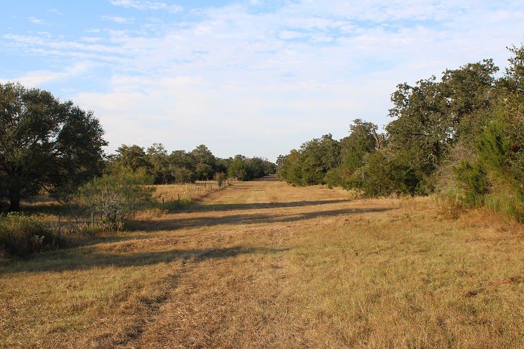 10 acres in Colorado County - photo 2