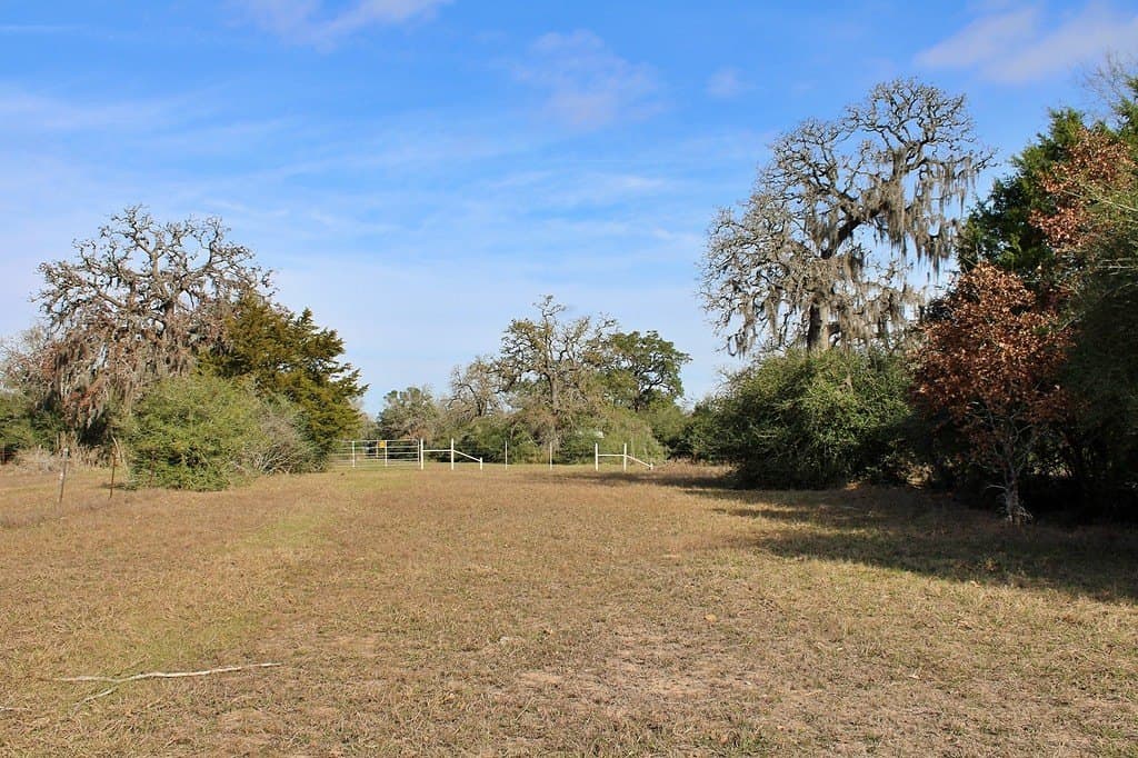 10 acres in Colorado County - photo 3