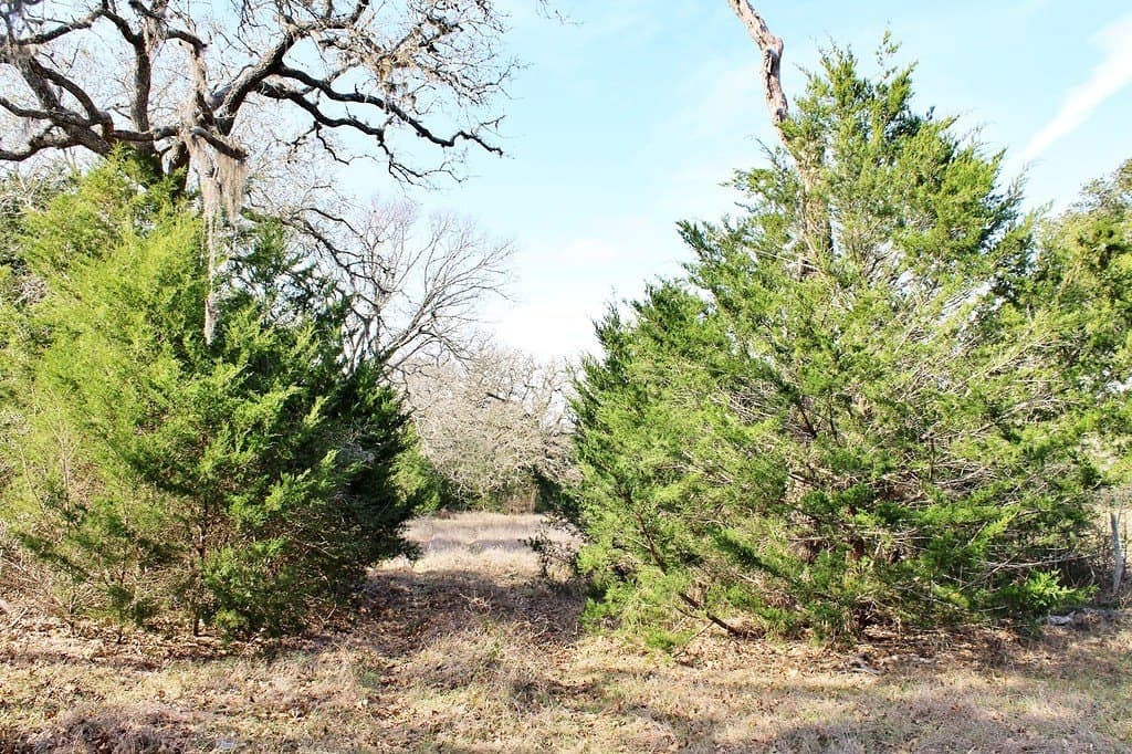 10 acres in Colorado County - photo 7
