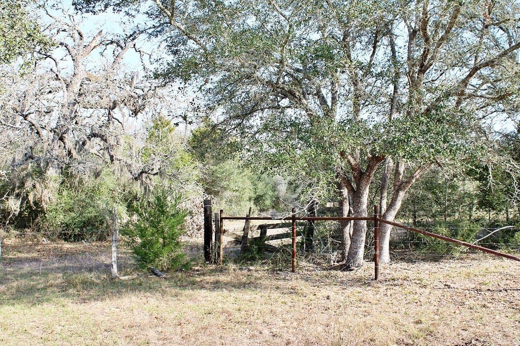 10 acres in Colorado County - photo 9