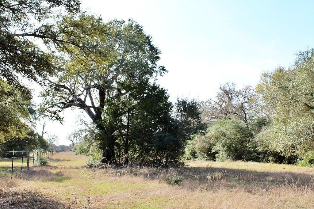 10 acres in Colorado County - photo 6