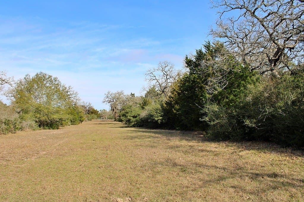 10 acres in Colorado County - photo 4