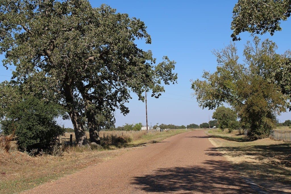 10 acres in Colorado County - photo 19