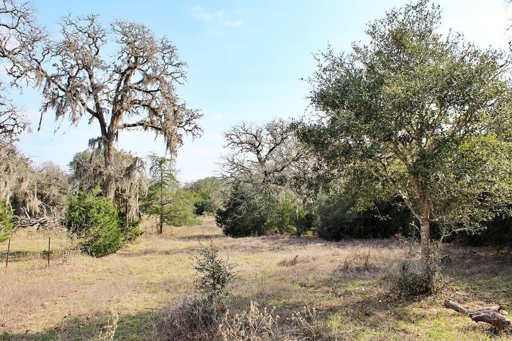 10 acres in Colorado County - photo 10