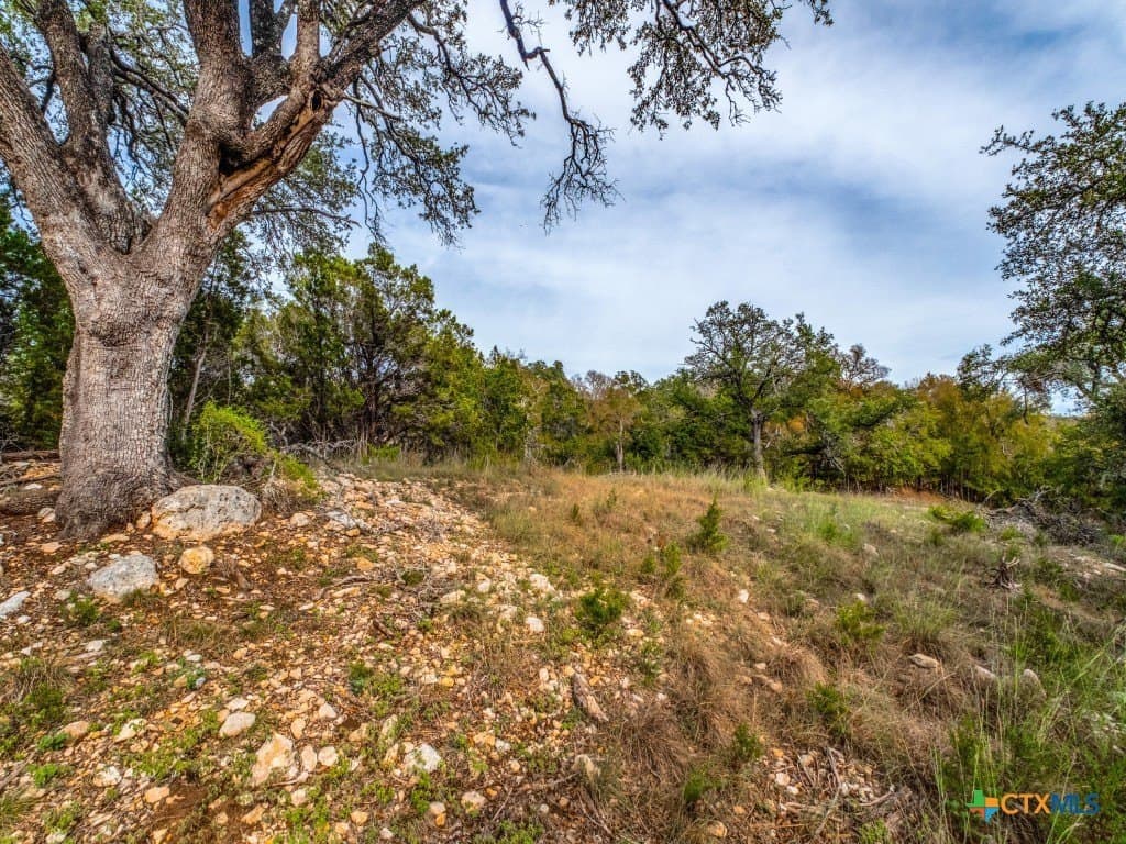0.36 acres in Hays County - photo 2