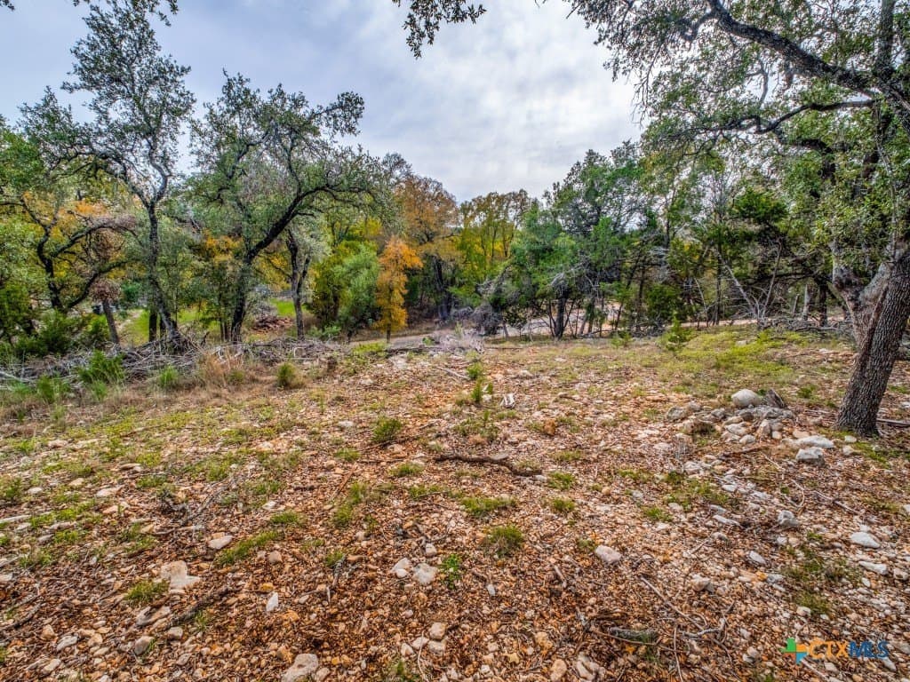 0.36 acres in Hays County - photo 5