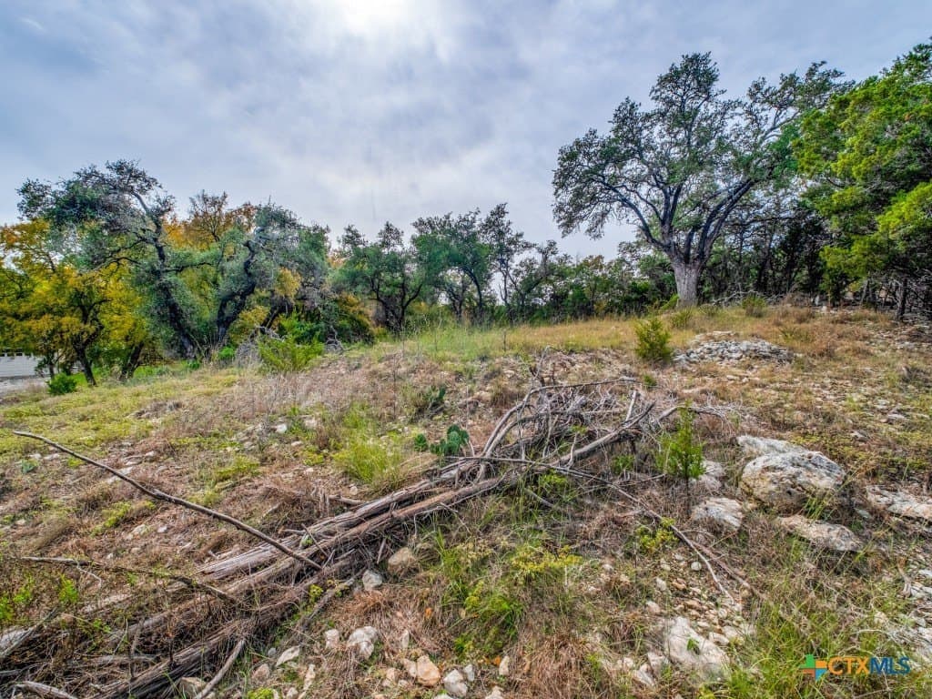 0.36 acres in Hays County - photo 3