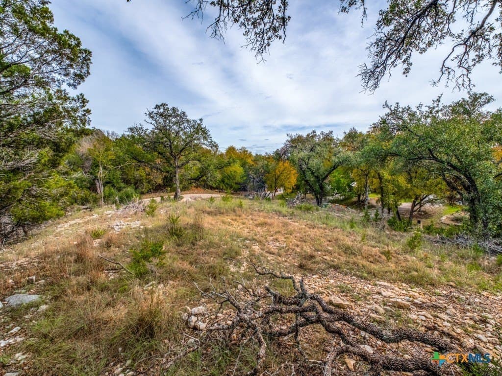 0.36 acres in Hays County - photo 4
