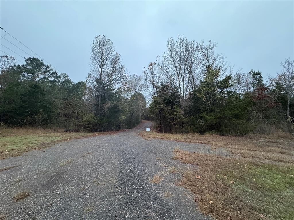 46.73 acres in Smith County - photo 5