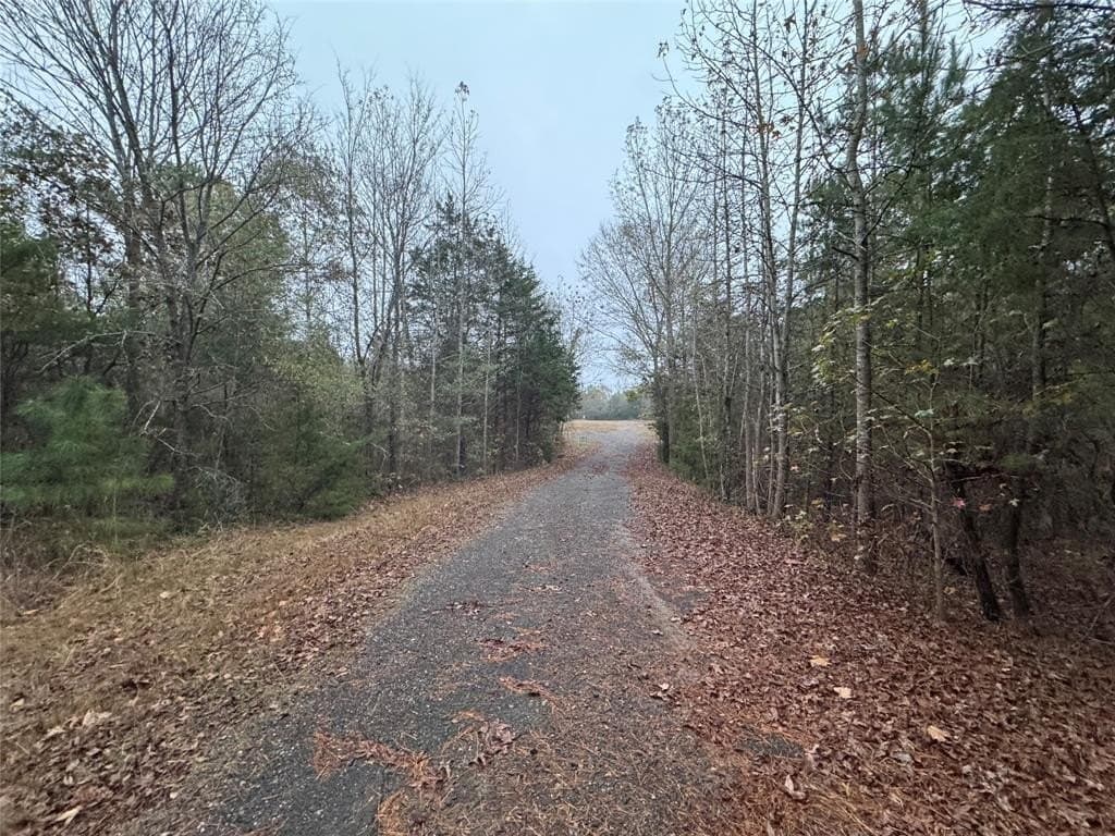 46.73 acres in Smith County - photo 3