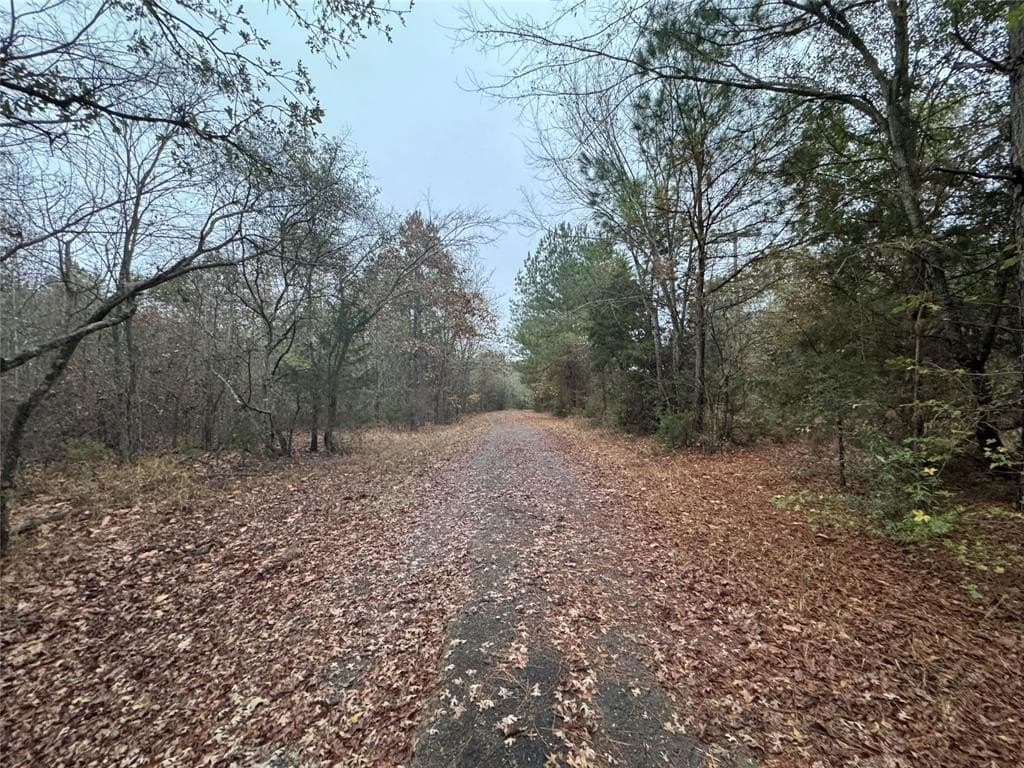 46.73 acres in Smith County - photo 2