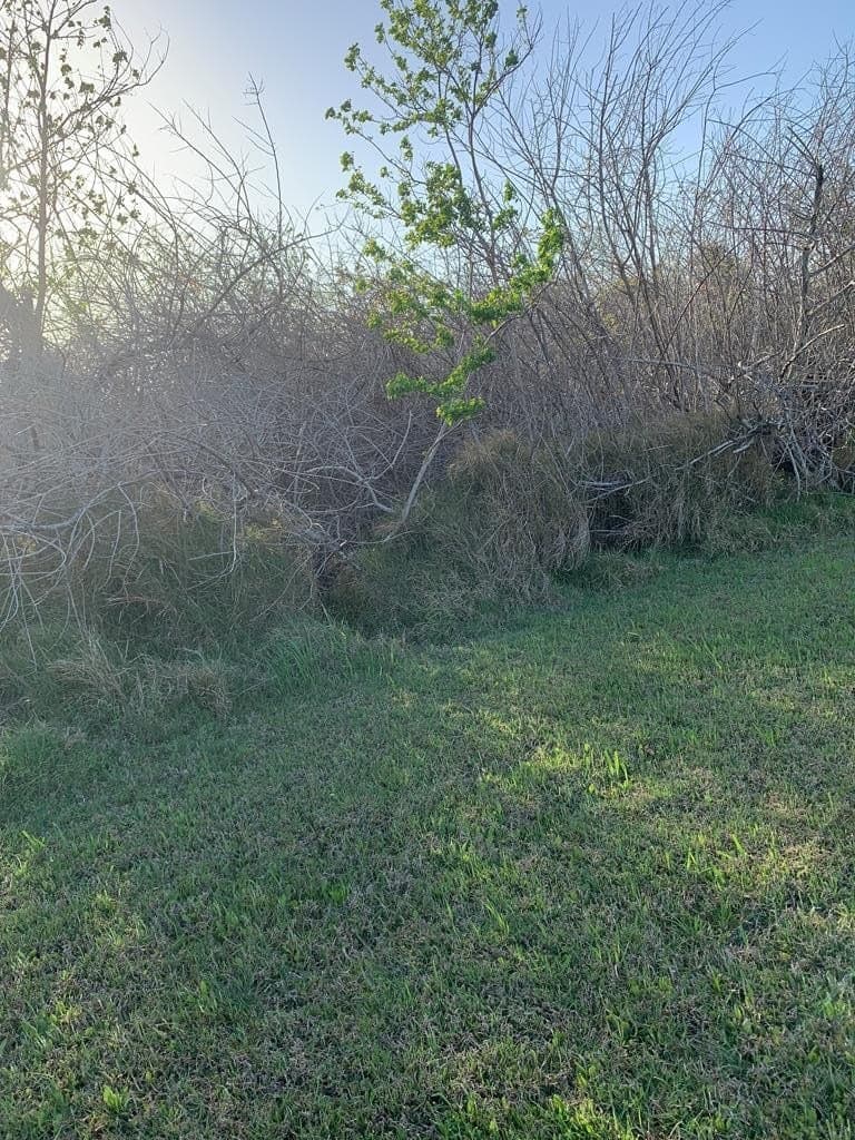 0 acres in Aransas County - photo 2