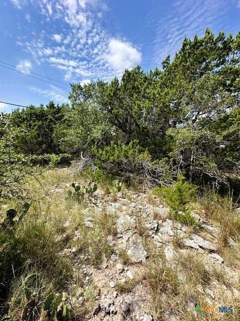 1.28 acres in Comal County - photo 5