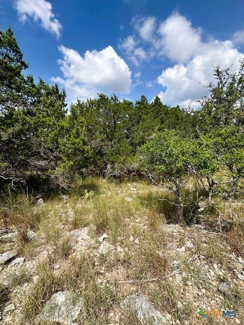1.28 acres in Comal County - photo 3
