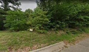 0.25 acres in Henderson County - photo 2