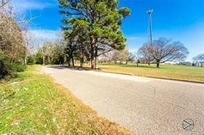 0.25 acres in Henderson County - photo 3