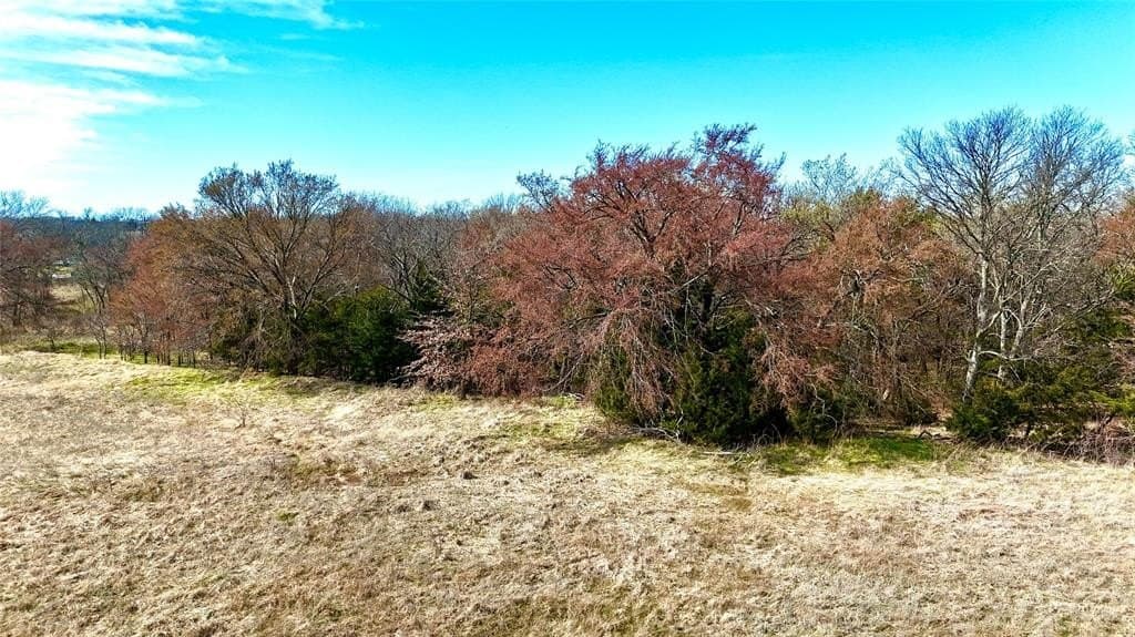 39.4 acres in Grayson County - photo 3